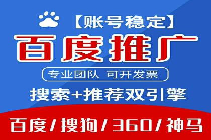 竞价推广策略：某电商平台的成功之路